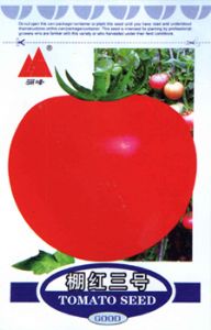 供应棚红三号—番茄种子
