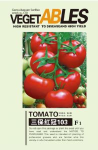 供应三保红冠—番茄种子