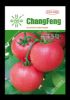 供应长丰5号—抗TY番茄品种