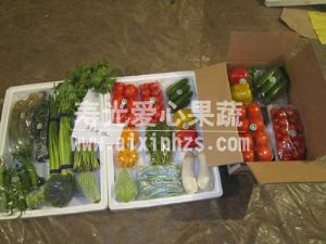 供应礼品箱装蔬菜—优质蔬菜