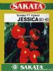 供应JESSICA（SC1-921）—番茄种子