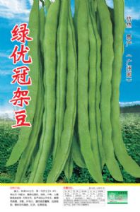 供应绿优冠架豆—架豆种子