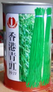 供应香港青豇—豇豆种子