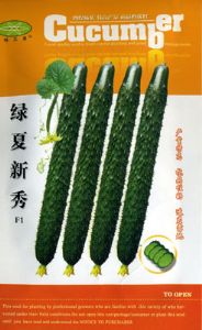 供应绿夏新秀F1—黄瓜种子