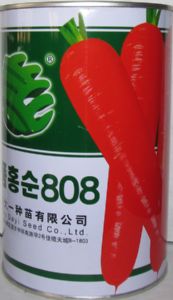 供应红笋808-胡萝卜种子