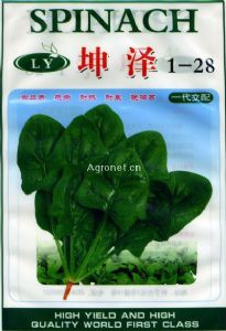 供应坤泽1-28—菠菜种子