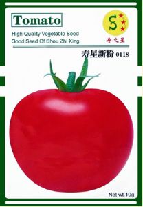 供应寿星新粉—番茄种子