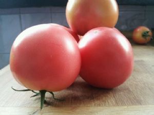 供应粉果星冠-番茄种子