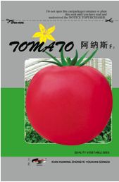 供应阿纳斯－番茄种子