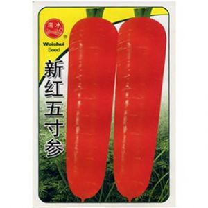 供应新红五寸参-胡萝卜种子