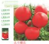 供应北斗棚乐—番茄种子