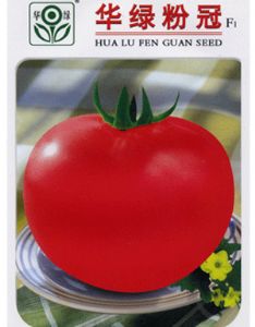 供应华绿粉冠—番茄种子