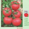 供应北斗08—番茄种子
