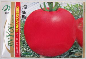供应瑞丽斯—番茄种子
