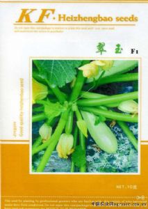 供应翠玉F1—西葫芦种子