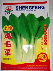 供应上海鸡毛菜-青梗菜种子