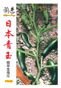 供应日本青玉—南瓜种子