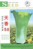 供应天香56—白菜种子