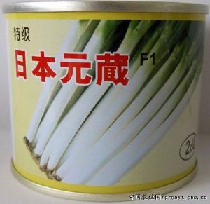 供应日本元藏－大葱种子