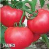 供应PT1104—番茄种子
