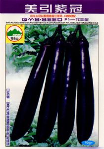 供应美引紫冠—茄子种子