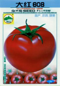 供应大红608—番茄种子