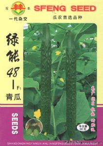 供应绿能48-青瓜—黄瓜种子