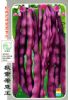供应秋紫架豆王—豆种子