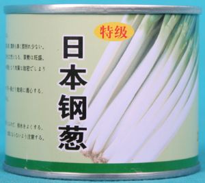 供应日本钢葱—大葱种子