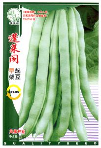 供应蓬莱阁早期架豆—菜豆种子