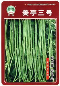 供应美亭三号—菜豆种子