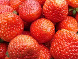 供应优质草莓