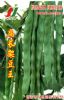 供应扁长架豆王——豆种子