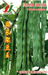 供应扁长架豆王——豆种子