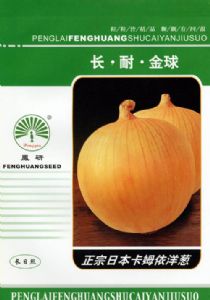供应长·耐·金球—洋葱种子