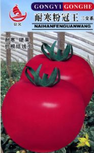 供应耐寒粉冠王三交系—番茄种子
