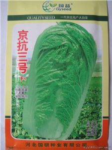 供应京抗三号—白菜种子