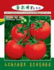 供应墨尔本番茄—番茄种子