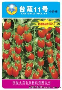 供应台蔬11号——番茄品种