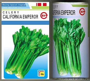 供应加州王—芹菜种子