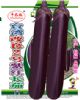 供应台湾改良2号紫红长茄F1—茄子种子