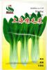 供应上海鸡毛菜－油菜种子