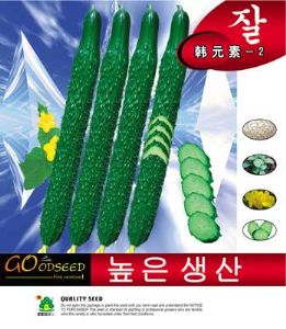 供应韩元素-2—黄瓜种子