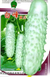 供应白峰—黄瓜种子