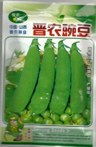 供应晋农豌豆－豌豆种子