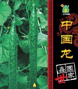 供应中国龙系列1号—黄瓜种子