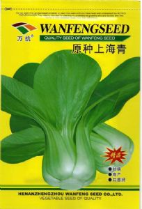 供应原种上海青－油菜种子