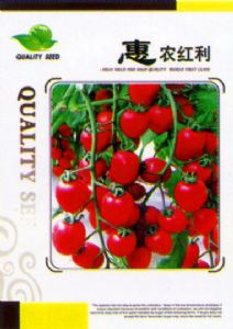 供应惠农红利-番茄种子