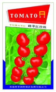 供应红珍珠－番茄种子