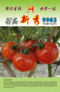 供应新秀－番茄种子